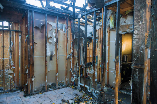 Professional Smoke Damage Removal technician working in Alpine, CA